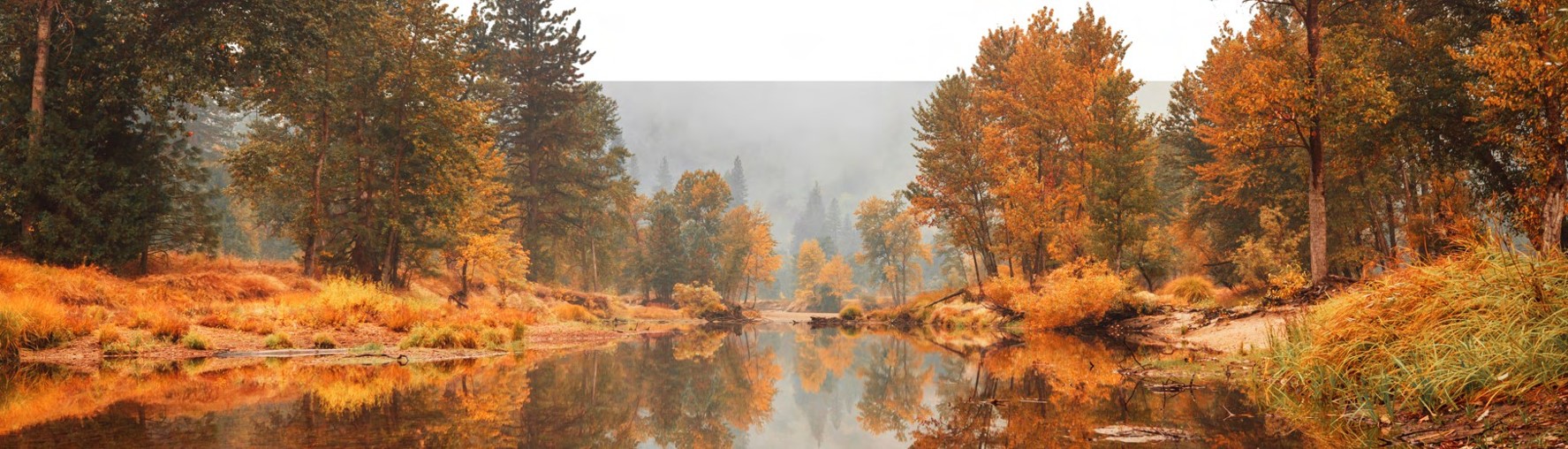 Наше обязательство