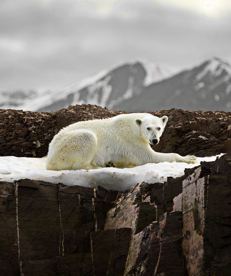 Уникальные материалы Plumtech