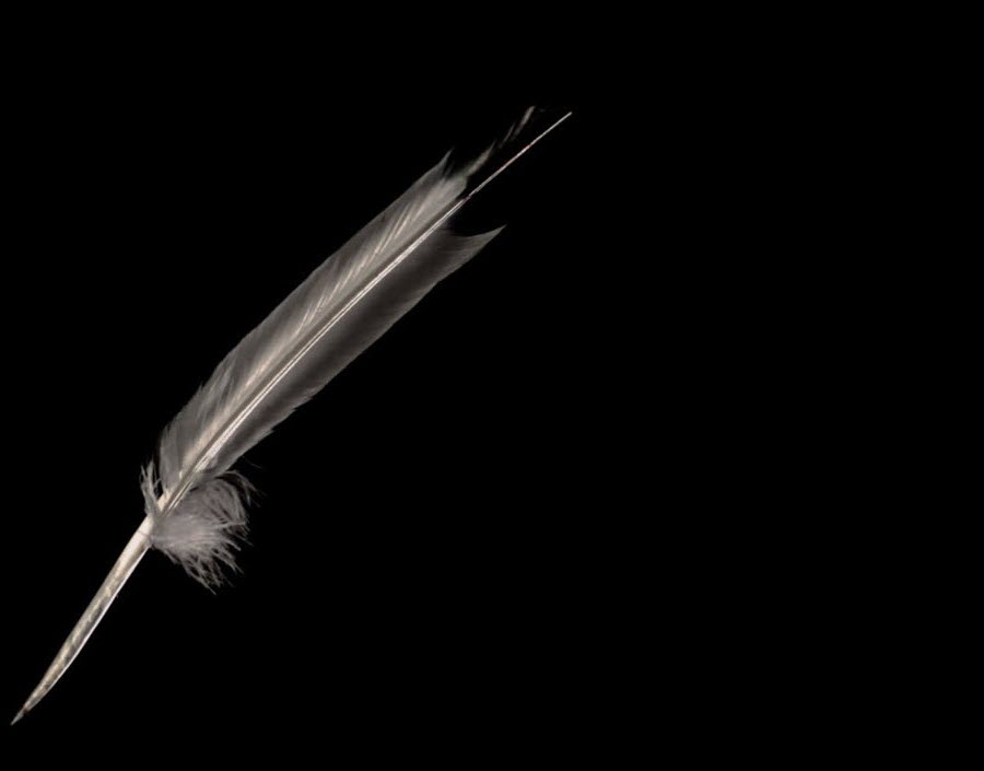 Фон без использования животных